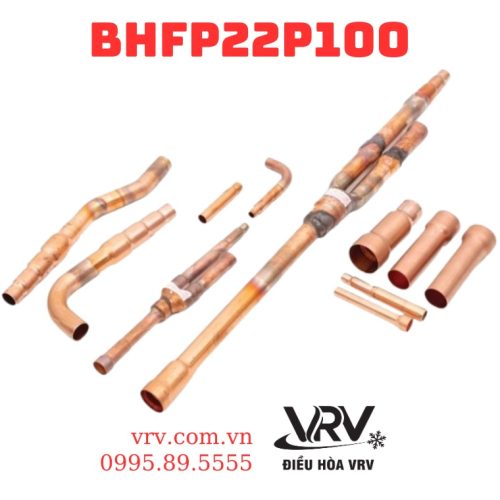 BHFP22P100